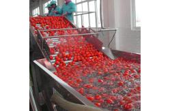 China 220V Bubble Tomato Washing Machine For Vegetable Fruit Processing supplier