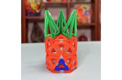 China Magnetic Tile Assembly With Versatile Shapes For Animals And Plants  Pineapple House supplier