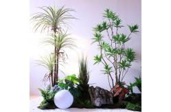 China No Caring Artificial Landscape Trees With Lily Bamboo Monstera Small Plants Evergreen supplier