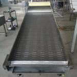                  CE/FDA/ISO Conveyors for The Food Processing Industry              for sale