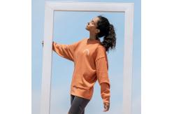 China Crew Neck Plain Pullover Sweatshirt Oversized Solid Long Hoodies supplier