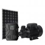 Deep Well Stainless Steel Solar Surface Water Pump For Water Removal Lawn Garden for sale