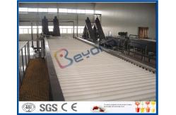 China Vegetable / Fruit Processing Equipment With Automated Sorting System CE / ISO9001 supplier