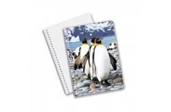 China Hot Selling School Stationery 3D Lenticular Printing Diary Notebook for Souvenir supplier