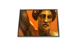 China LTD141LM0S 14.1 inch 1400*1050 TFT-LCD Screen Panel supplier