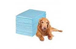 China Pet Pee Training Pads Ultra-Absorbent Diapers for Effective Incontinence Training supplier