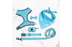 China Custom Reflective Comfortable Pet Harness Set Dog Leash supplier