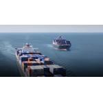 Reliable Door To Door DDP Sea Freight Shipping From China To USA Amazon FBA By ZIM for sale