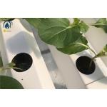 Large Scale NFT Vertical Hydroponic Farming System 100mm Width For Vegetables Herbs