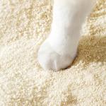 Custom Cassava Cat Litter Sand ODM Fast Clumping Cat Litter Low Dust for sale