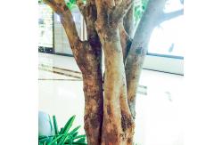 China Large Ficus Foliage Artificial Landscape Trees With Lush Green Leaves No Sunlight supplier