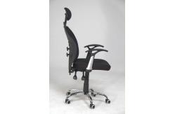 China Adjustable Height Home Office Computer Chair With Headrest / Lumbar Support 11KG supplier