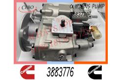 China Cummins  NT855 M11 Diesel Engine Fuel Injection Pump 3883776 4951390 supplier