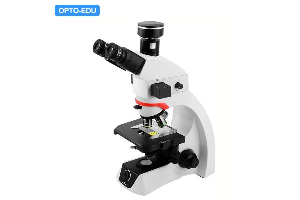 OPTO EDU A16.2263 BGUV Biological Laboratory Trinocular Fluorescent Microscope
