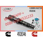 4928346 QSK23 Diesel Engine Common Rail Fuel Injector 4087887 4010163 3766446 4326781
