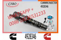 China 4928346 QSK23 Diesel Engine Common Rail Fuel Injector 4087887 4010163 3766446 4326781 supplier