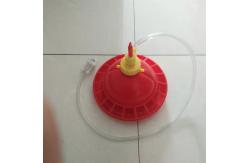 China 38cm Plasson Automatic Broiler Drinker And Feeder For Poultry supplier