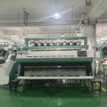 China WENYAO Brand Factory Price Corn Color Sorter 512 Channels CCD Optical Rice Sorting Machine manufacturer