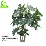 All Season 270cm Artificial Dracaena Plant , Dracaena Silk Plant For Landscaping for sale