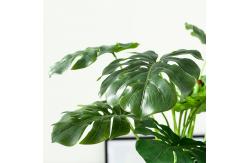 China Nordic Bonsai Evergreen Monstera Artificial Potted Plant Ornament supplier