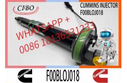 China MTU2000 Common Rail Diesel Injector MTU F0013L0J004 F00BL0J005 F00BL05011  F00BLOJ018 0986435615 supplier