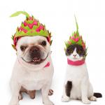 Headset Fire Dragon Fruit Shape Pet Headdress For Christmas for sale