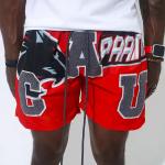 Custom Chenille Embroidered Logo Wholesale Stripe Fitness Clothing Gym Sport Wear Mesh Workout Shorts Free Sample for Men for sale