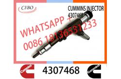 China Diesel Engine Fuel Common Rail Injector 110528079 4307475 4307468 For Cummins supplier