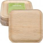 Square Biodegradable Disposable Tableware for sale
