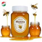 China Wholesale 250g 500g 1000g Plastic Square Round Clear Bottle PET Material Food Grade Honey Container with Screw Cap Honey Jars factory