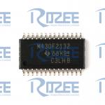 MSP430F2132IPW