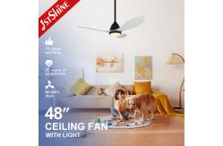 China Support Dimmer 1stshine Plastic Ceiling Fan with Remote Control and Modern Design supplier