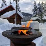 Heating And Cooking Barbecue Bbq Grill