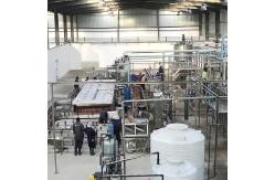China 12brix Full Automatic Strawberry Processing Equipment supplier