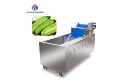 China Ozonation Hyperbaric Spraying Fruit And Vegetable Washing Machine SS supplier