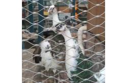 China 316 Stainless Steel Flexible Cable Mesh Netting for Bird Aviary supplier