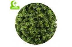China Handmade H165cm Artificial Cypress Trees Outdoor With Single Trunk supplier