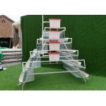 Type A 160 Capacity Chicken Breeding Cages For Poultry for sale