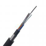 Customized Direct Buried Double Armored GYTA-53 Anti-Rodent Fiber Optic Cable for sale