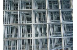 China 6X 6 Fencing Net Iron 16 Gauge Galvanized Welded Wire Mesh supplier