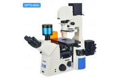 China Opto Edu A16.1097 Lcd Touch Screen Fluorescence Stereomicroscope supplier