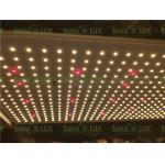 Indoor Gardening 650w Quantum 4x4 Led Grow Light for sale
