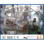 Juice Making Factory Fruit And Vegetable Processing Machinery With Juice Processing Technology for sale