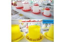 China ODM 3kg Chicken Feeder Hanging Bucket 6KG Plastic Chicken Water Feeder supplier