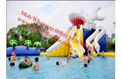 China Gaint Water slide inflatable pool withJumping Bouncer water park slides for sale supplier