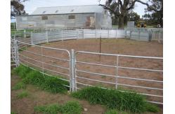 China Galvanized Temporary Mobile 1.7m Corral Fence Panels supplier