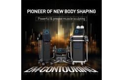 China High Frequency Ems Body Slimming Machine Fat Reduction Anti Cellulite supplier