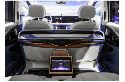 China 30kW Luxury EV Car Carbon Version VOYAH Dreamer MPV Seven seaters supplier