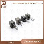 Common Rail Repair kit 7135-523 High Speed Steel 4pcs for sale