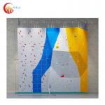Commercial Indoor Climbing Wall Multicoloured For Amusement Park for sale